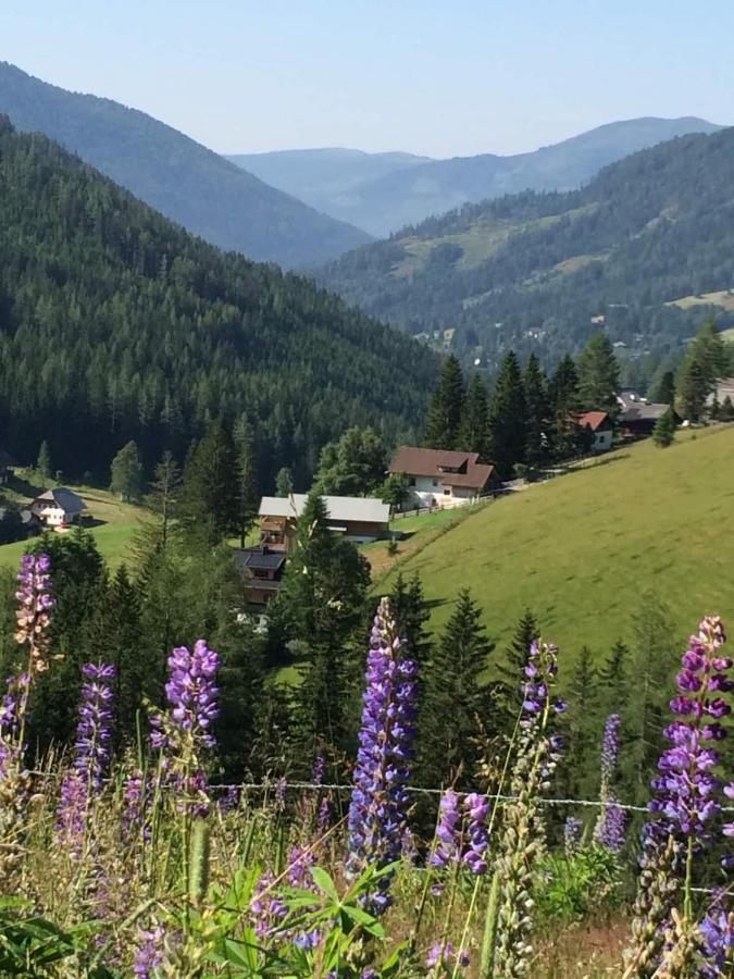 Haus Klinsterwald Sankt Oswald (Carinthia) Exteriér fotografie