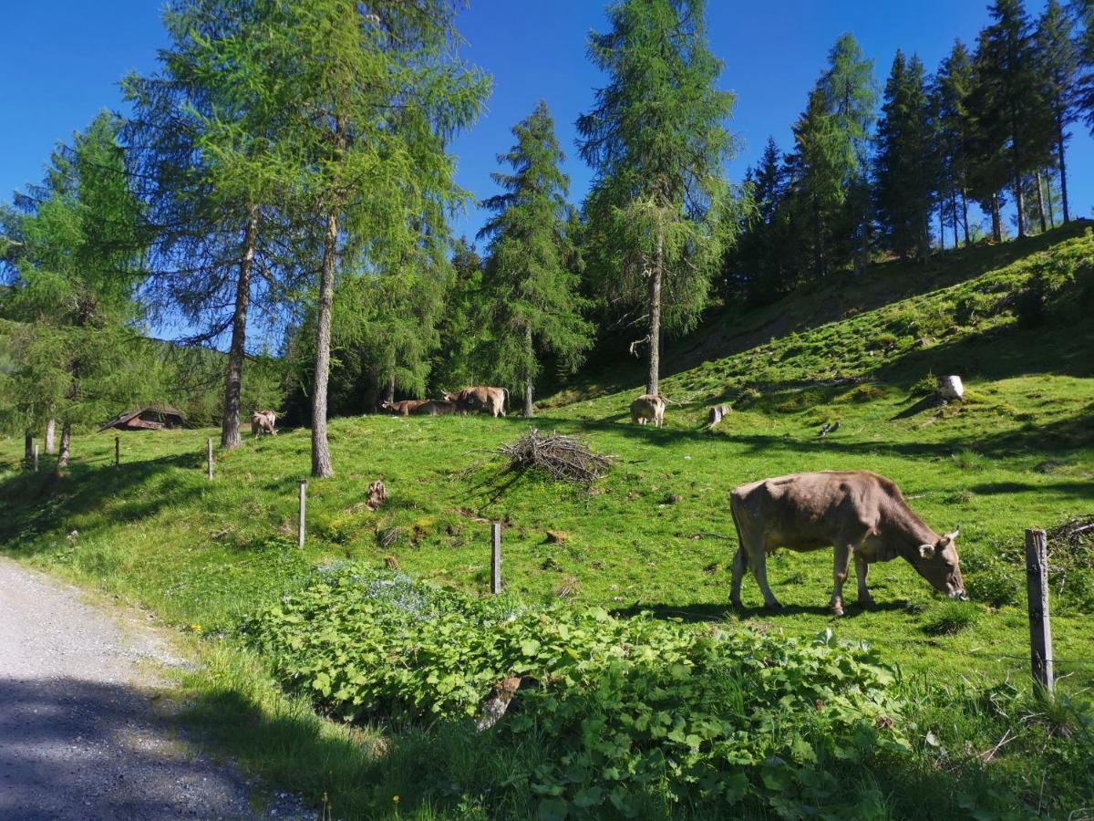 Haus Klinsterwald Sankt Oswald (Carinthia) Exteriér fotografie